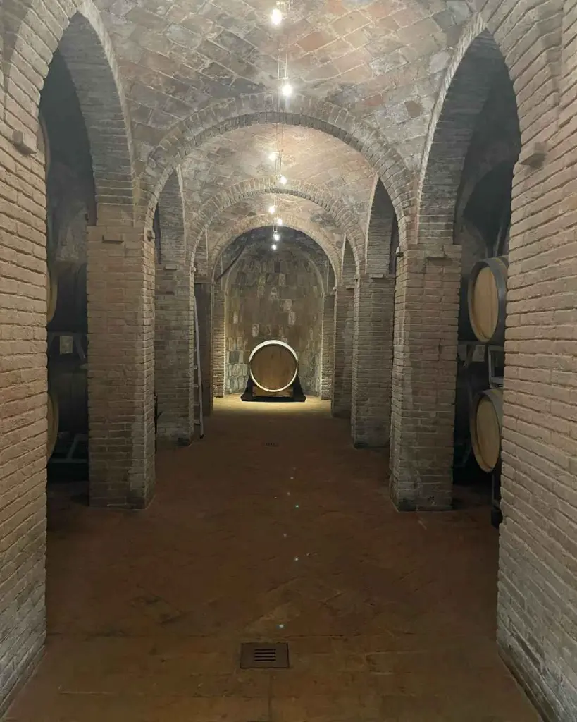 Fattoria Uccelliera, wine cellar.webp