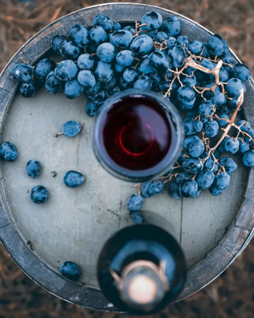 Fattoria Uccelliera, wine tasting Wanderlust.webp