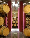 Salcheto, wine cellar.webp