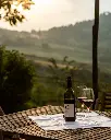 Salcheto, wine tasting.webp