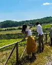 Salcheto, landscape.webp