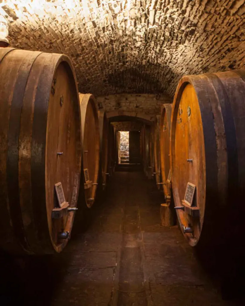 Castello della Paneretta, centuries old cellar.webp
