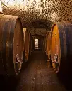 Castello della Paneretta, centuries old cellar.webp
