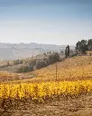 Fattoria San Michele a Torri picnic landscape.webp