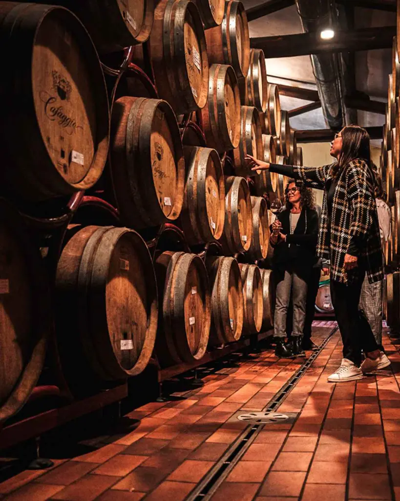 Cafaggio, cellar visit.webp