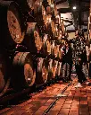 Cafaggio, cellar visit.webp