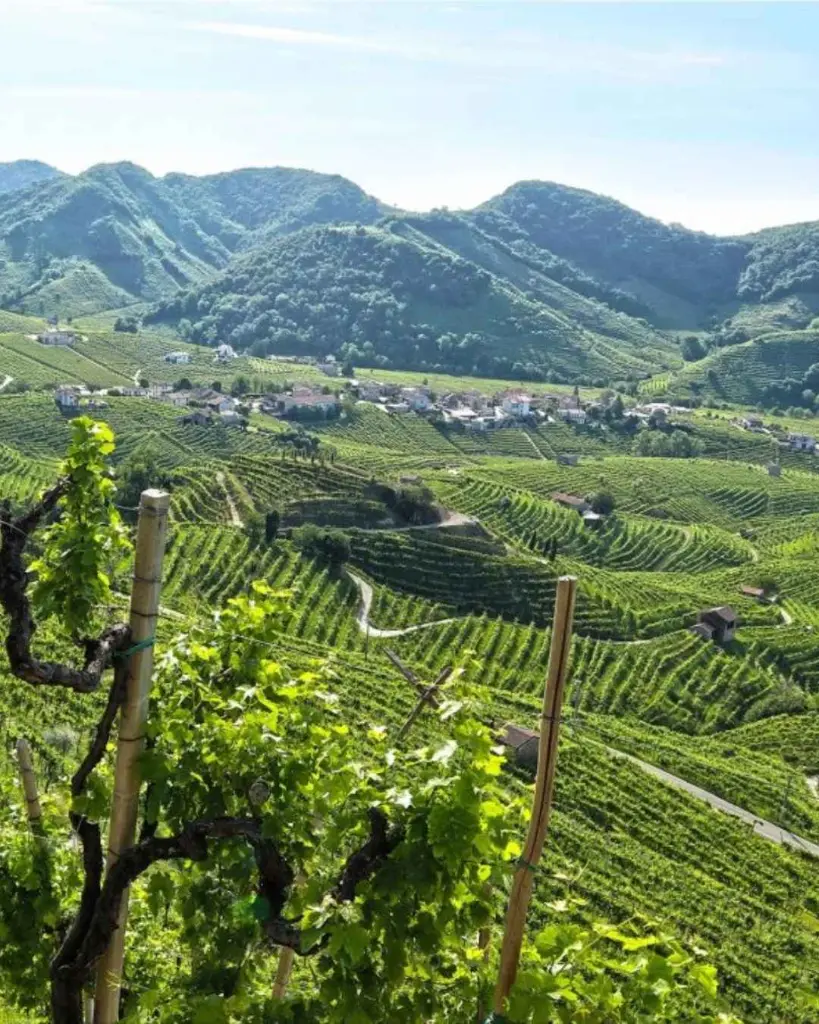 Rivaluce, landscape .webp