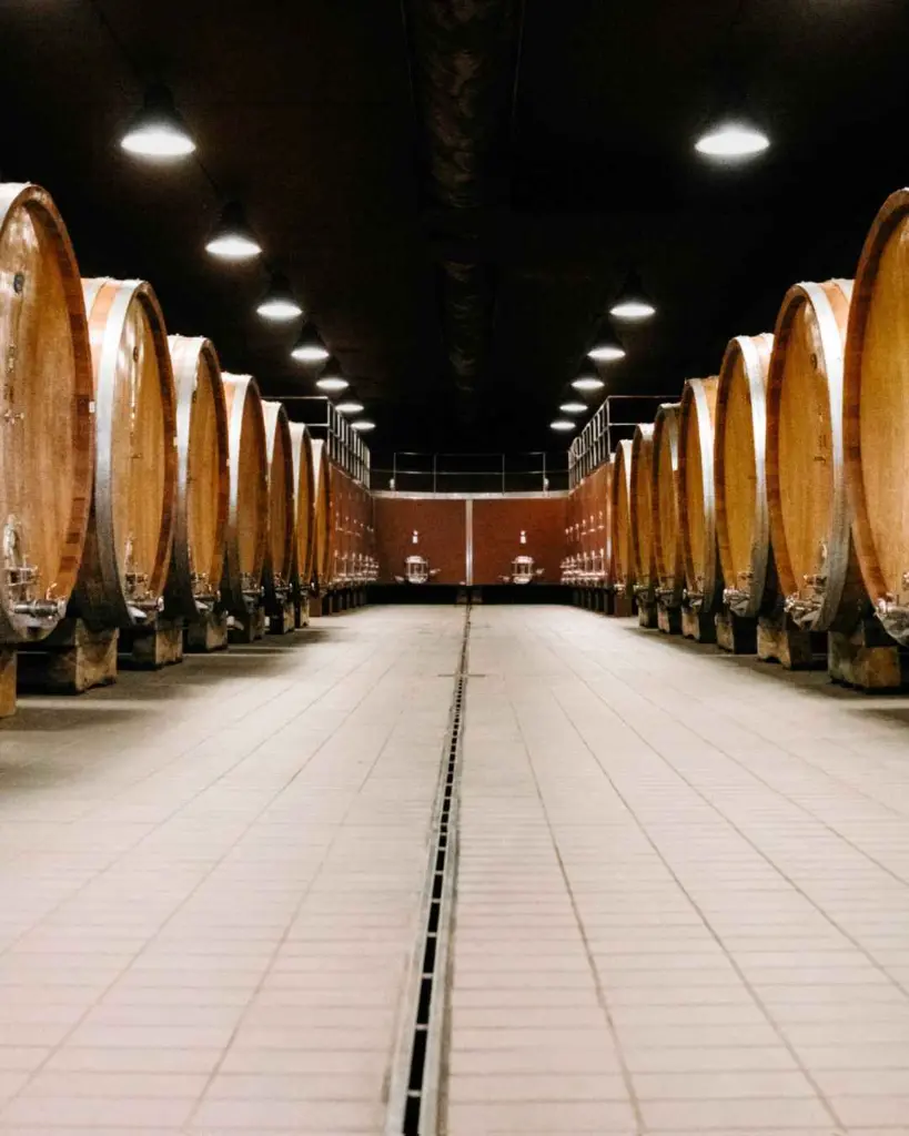 Camigliano, wine cellar.webp