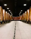 Camigliano, wine cellar.webp