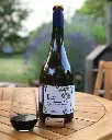 Bodegas Corral wine tasting.webp