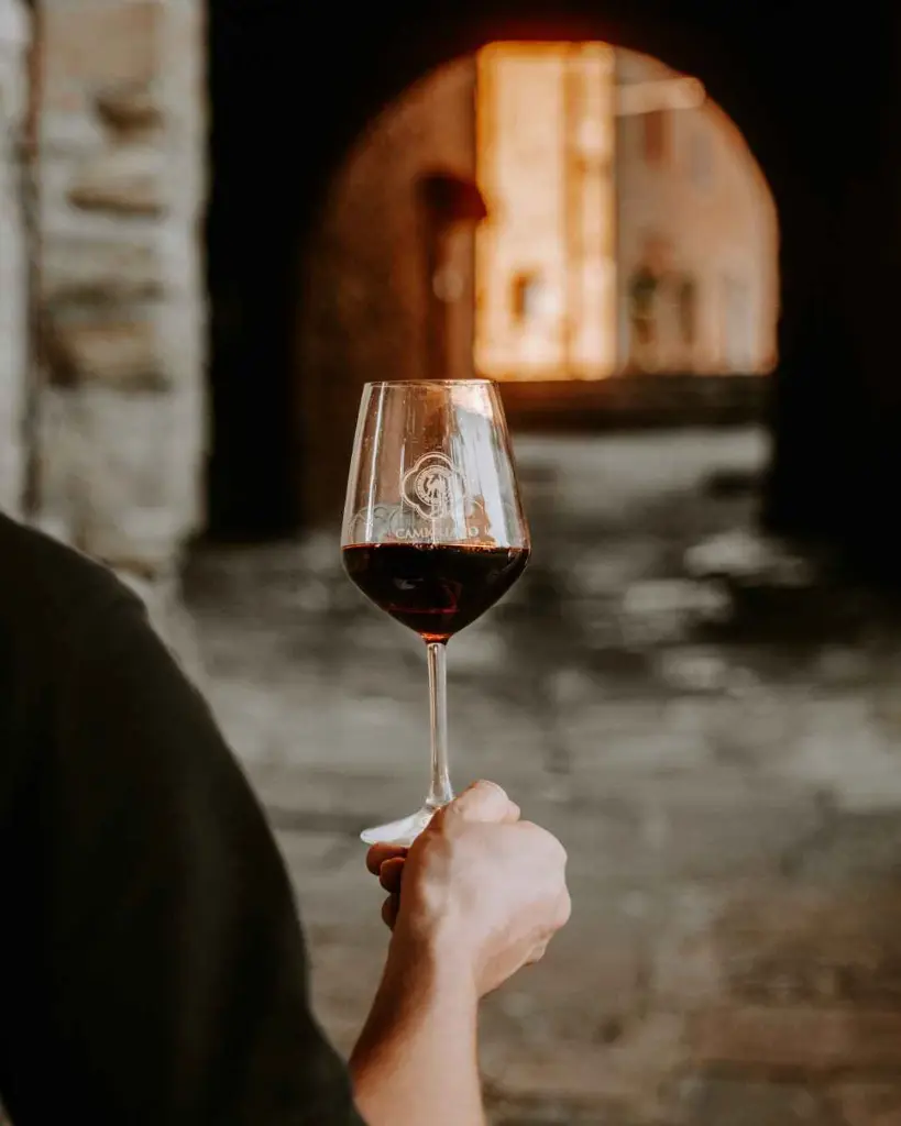 Camigliano, red wine.webp