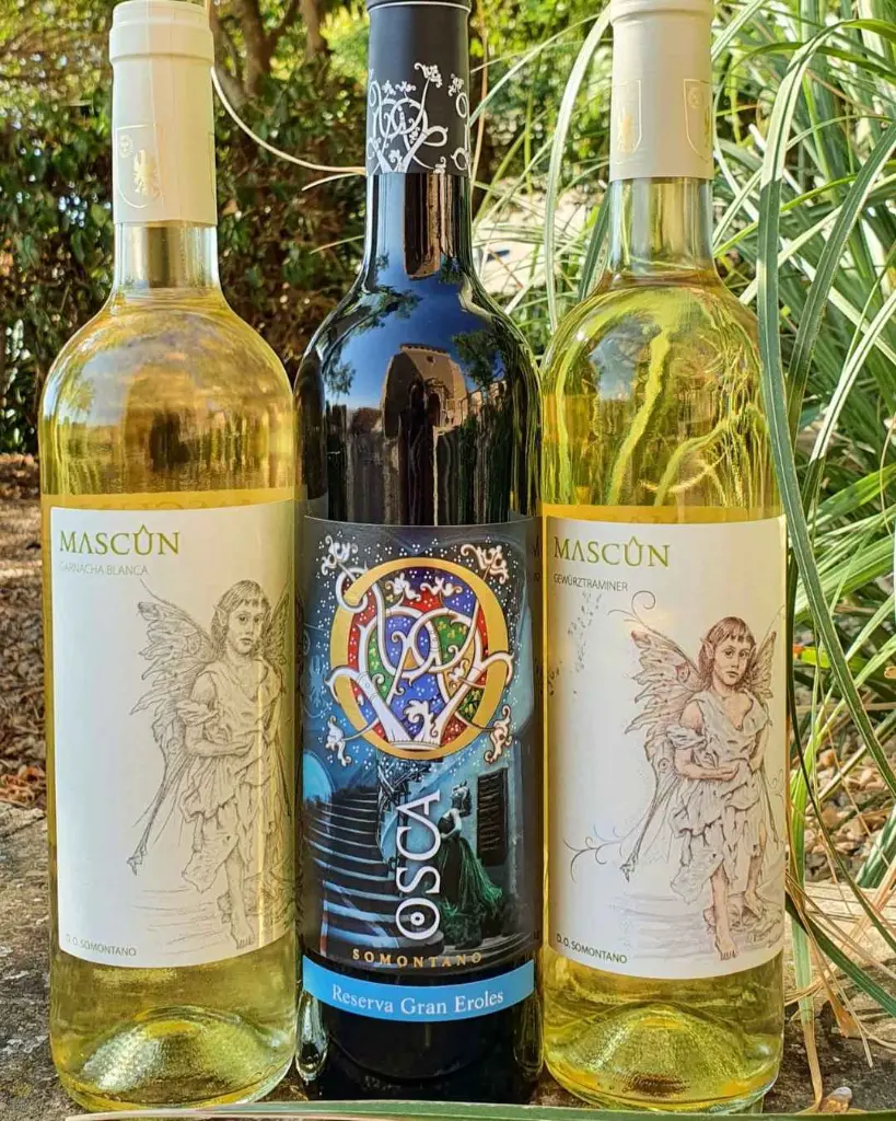 Winery Osca wines .webp