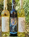 Winery Osca wines .webp