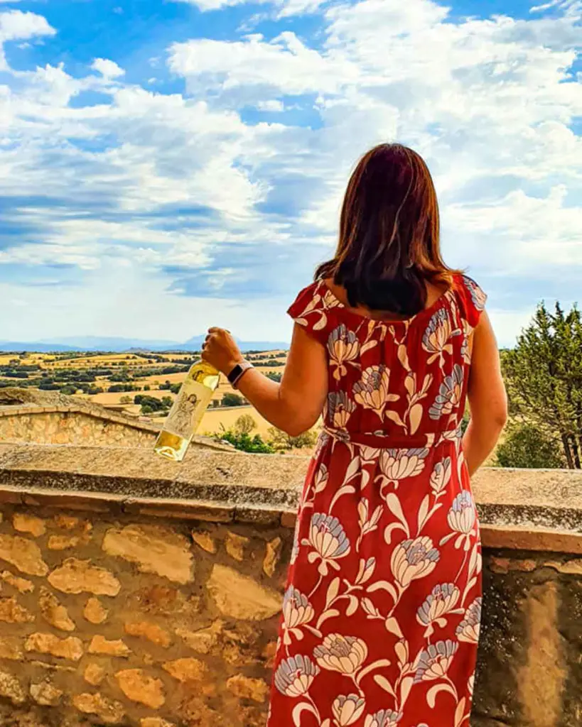 Osca wine tasting and visit.webp
