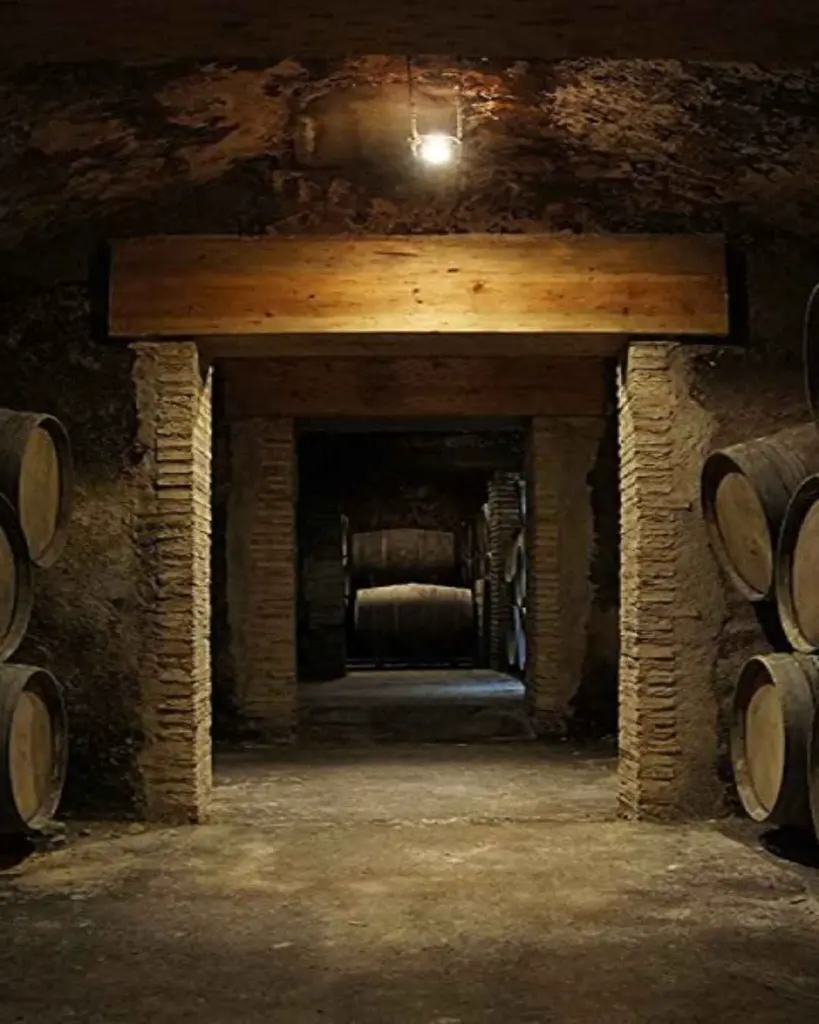 Bodegas Osca wine cellar.webp