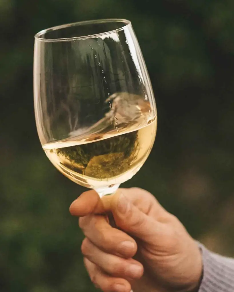 Torralbenc winery white wine tasting .webp