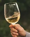 Torralbenc winery white wine tasting .webp