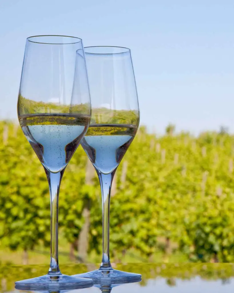 Bodega Jaume Serra sparkling wines.webp