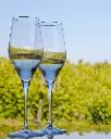 Bodega Jaume Serra sparkling wines.webp