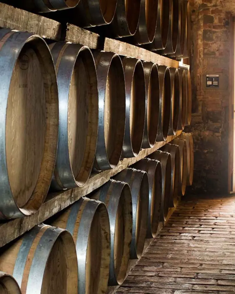 Tenuta Sette Ponti, wine cellar.webp