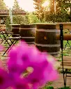 Quercia al Poggio, wine experience.webp