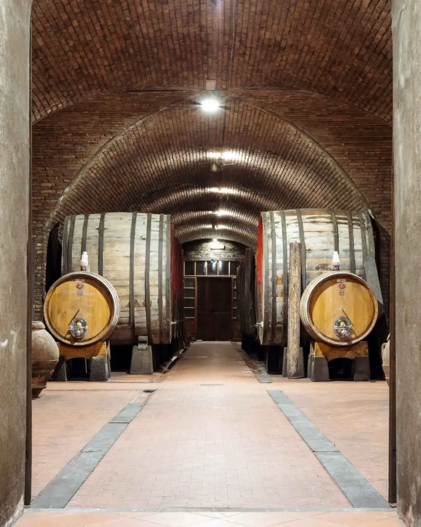 Fattoria Casalbosco, cellar visit.webp
