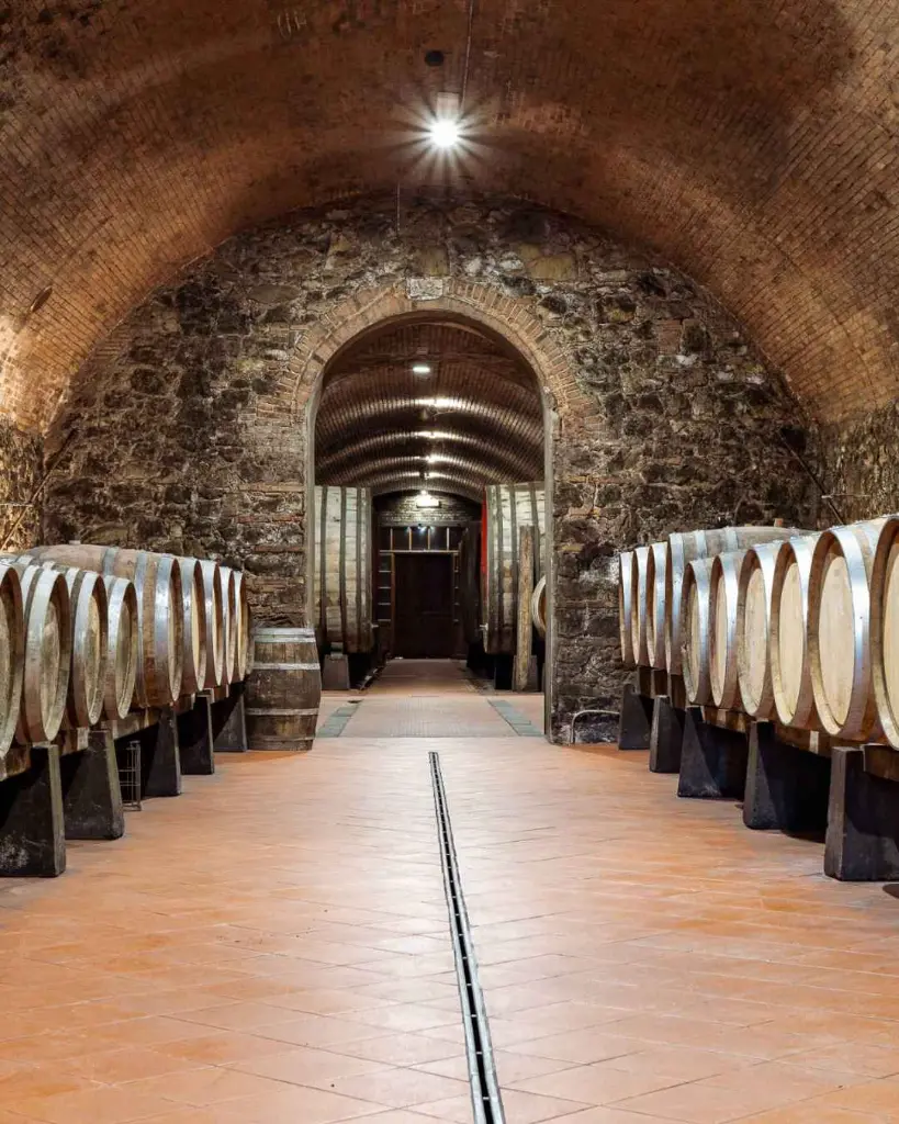 Fattoria Casalbosco, aging cellar.webp
