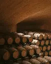 Perelada winery cellar.webp
