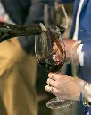 Perelada winery tasting.webp