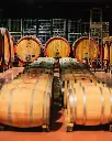 Molino di Sant Antimo, cellar visit.webp
