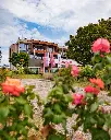 Winery Despotika spring.webp