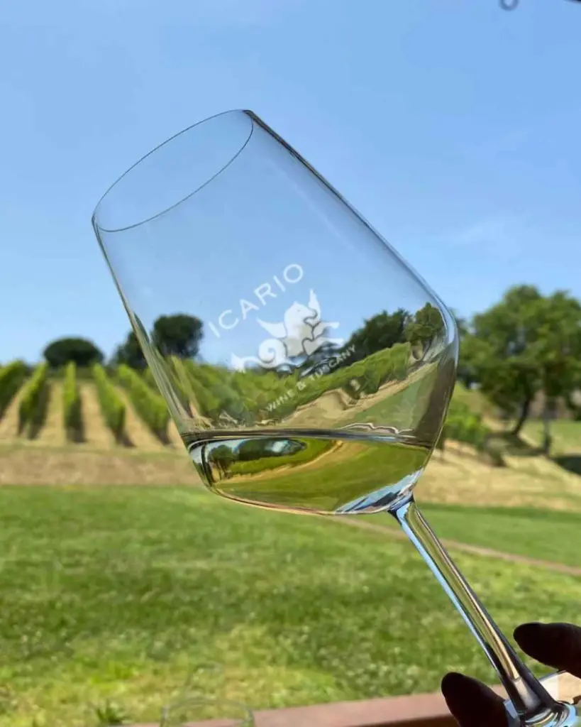 Icario wine tasting Tuscany.webp