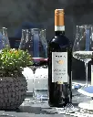 Icario winery visit premium tasting.webp