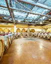 Icario Montepulciano cellar.webp