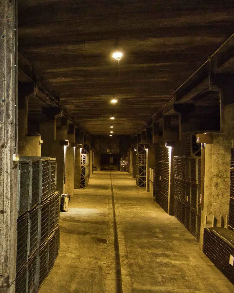 Giro Ribot, guided visit to cellar.webp