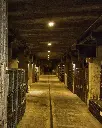 Giro Ribot, guided visit to cellar.webp