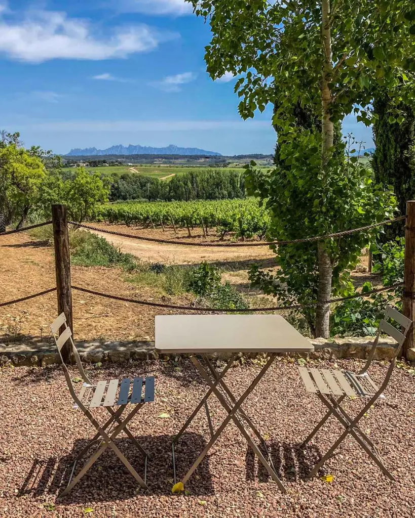 Giro Ribot, outdoor tasting.webp