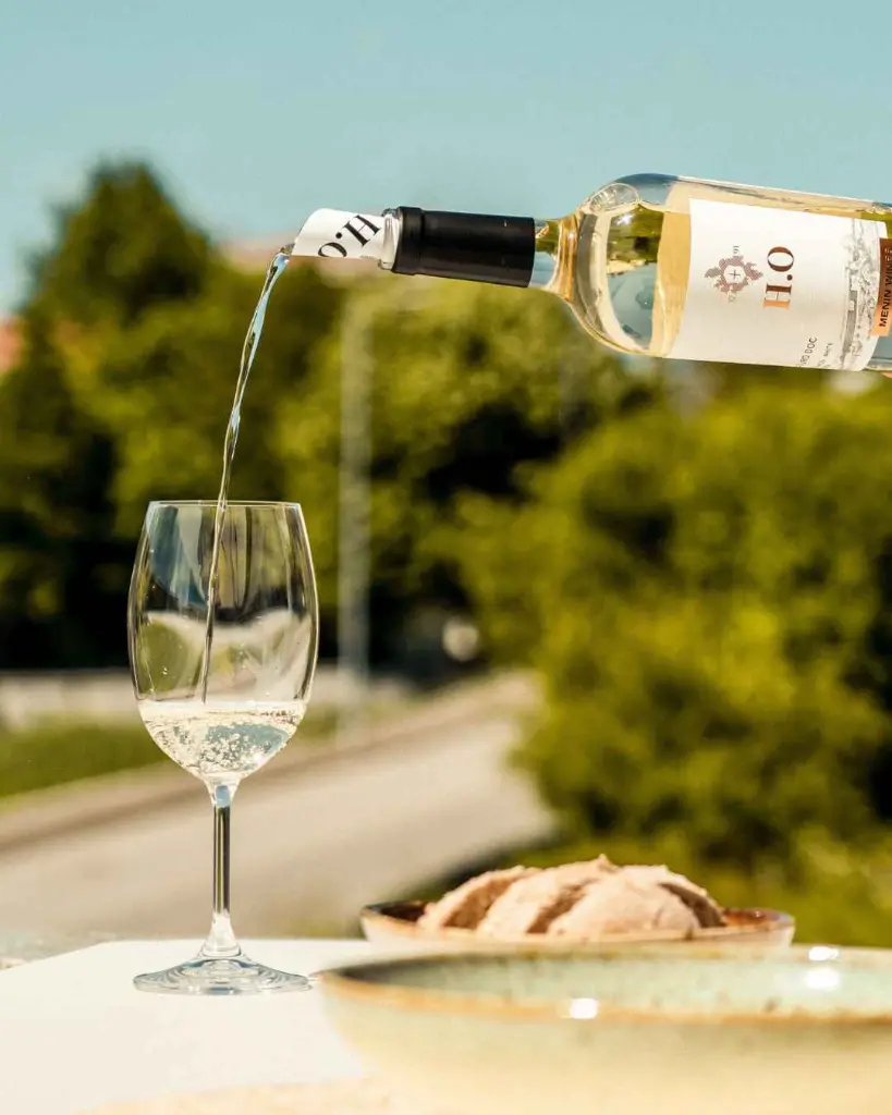 Adega H.O. wine tasting.webp