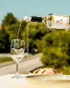 Adega H.O. wine tasting.webp