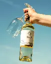 Adega H.O visit tasting white wine.webp