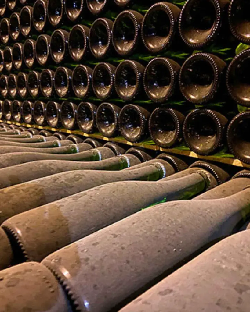 Giro Ribot, wine cellar.webp