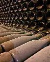Giro Ribot, wine cellar.webp