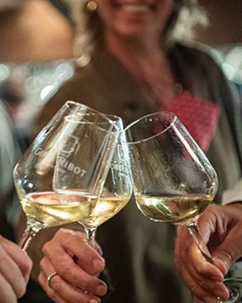 Giro Ribot, wine experience.webp