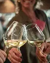 Giro Ribot, wine experience.webp