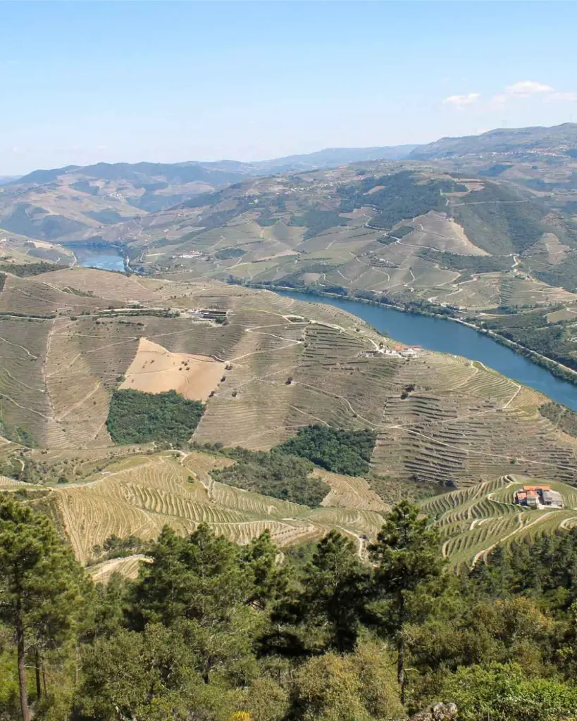 Quinta Da Pedra Alta Douro Valley.webp