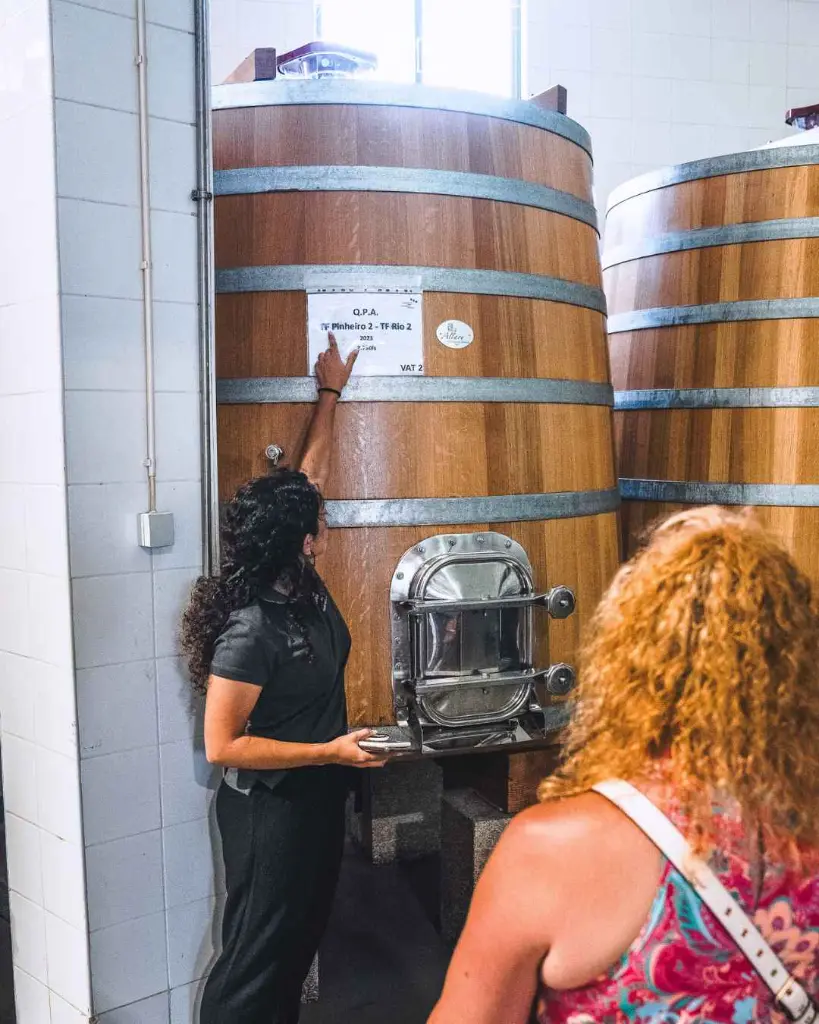 Quinta Da Pedra Alta cellar tour.webp