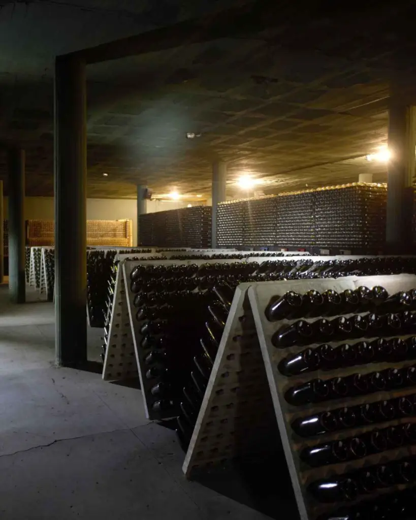 AT Roca, aging cellar.webp