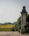Château Destieux, vineyard tour.webp
