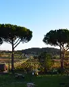 Tenuta Biologica Bulichella, landscape.webp