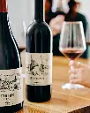 Tenuta Biologica Bulichella, Wine tasting.webp